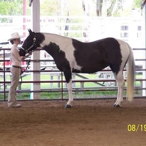 Meet your Posher, Connie